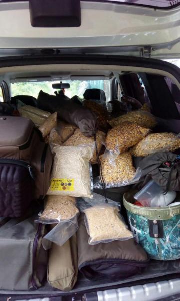 IMG-20160605-WA0003 (2).jpg