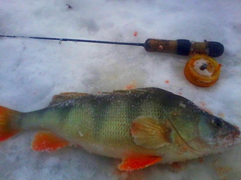 Изображение 008.jpg