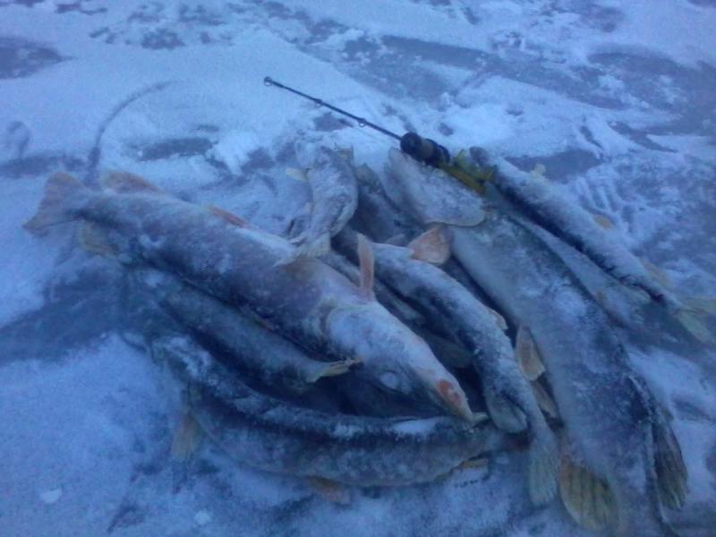 Изображение 085.jpg