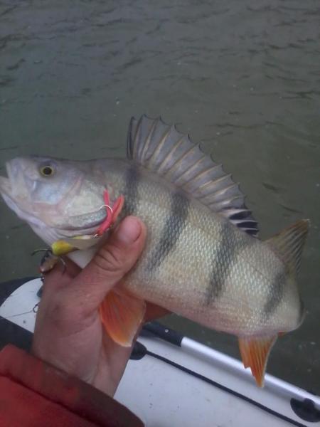 20110204_140937.jpg