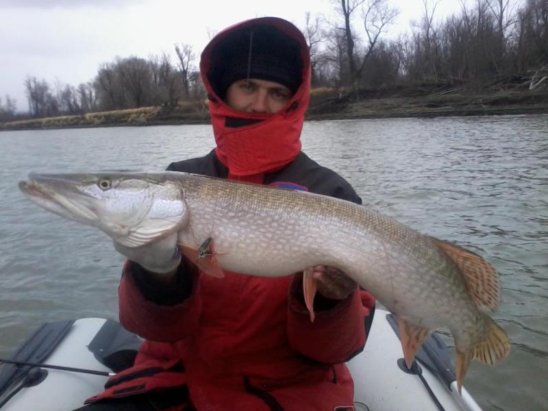 20110204_142609.jpg