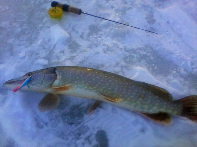 Изображение 003.jpg