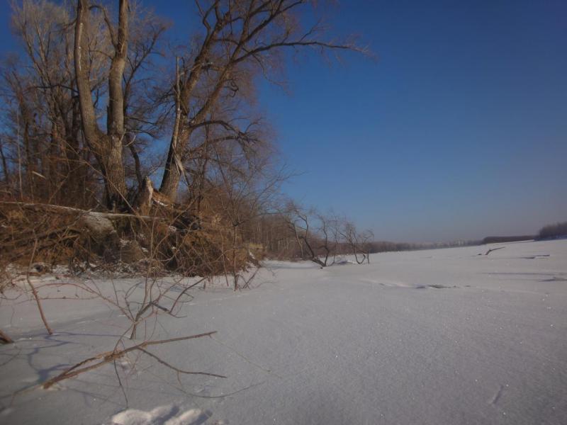 DSC07488.JPG