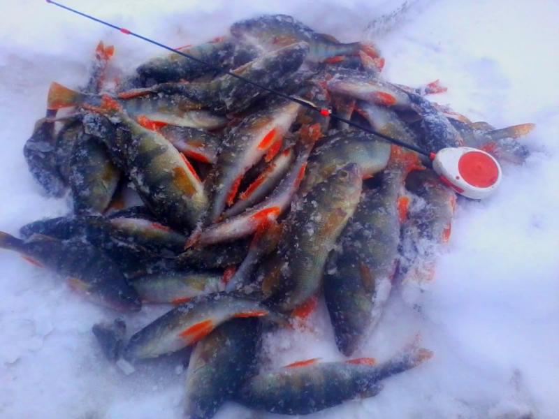 Изображение 087.jpg