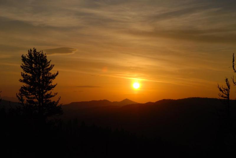 DSC_3395.JPG