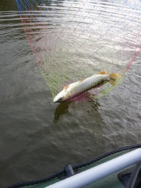 20160716_072551.jpg