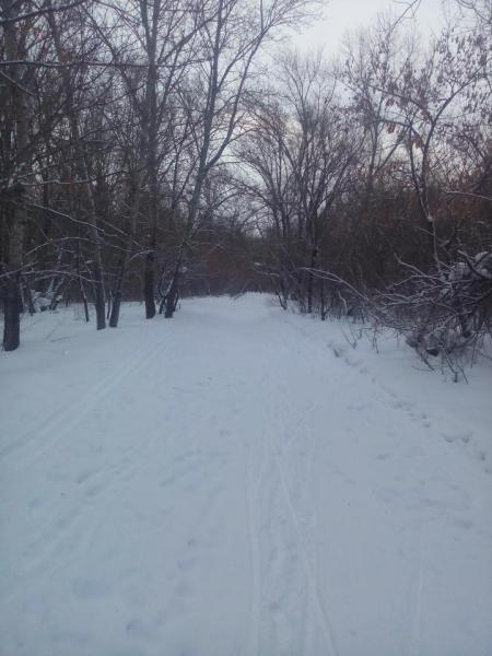 IMG_20170204_095947.jpg