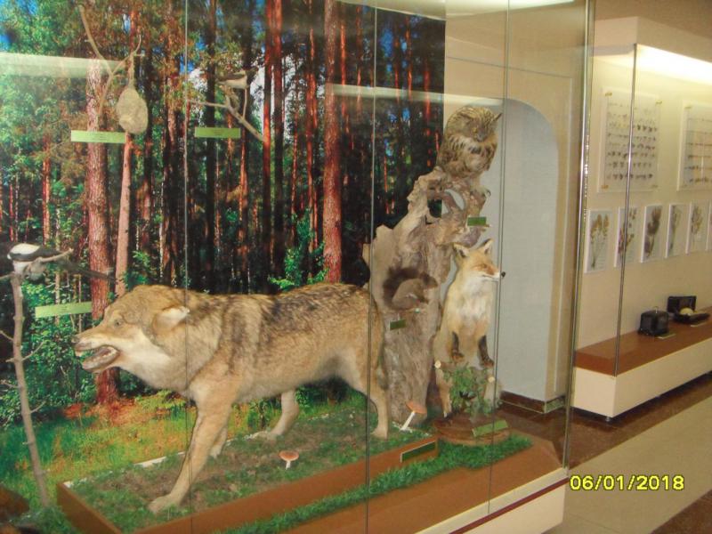 SDC10069.JPG