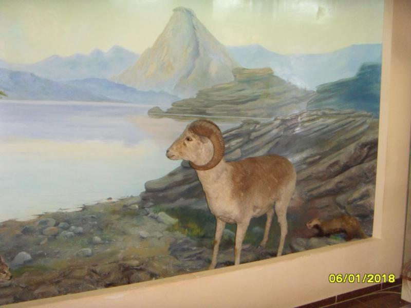 SDC10061.JPG