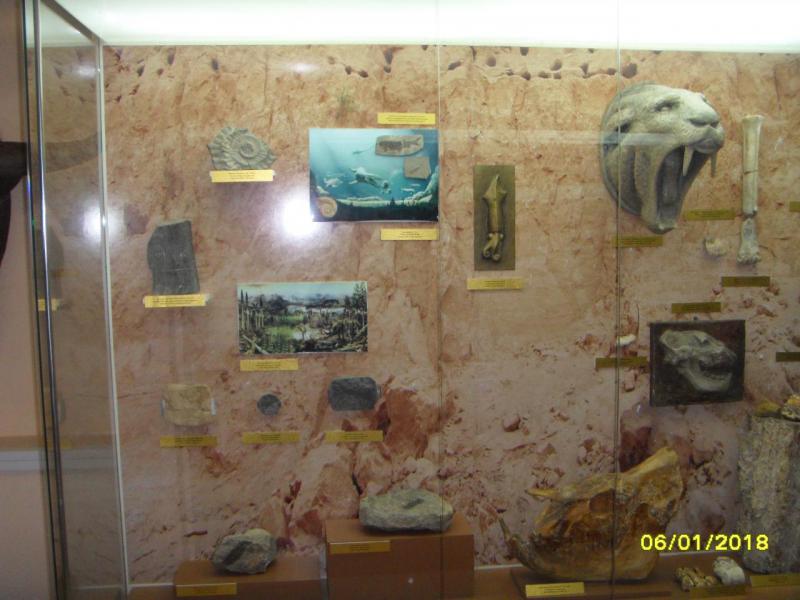 SDC10053.JPG