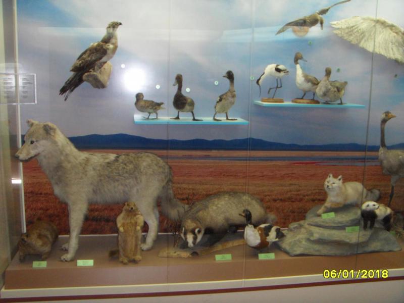 SDC10066.JPG