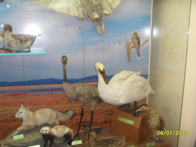 SDC10072.JPG