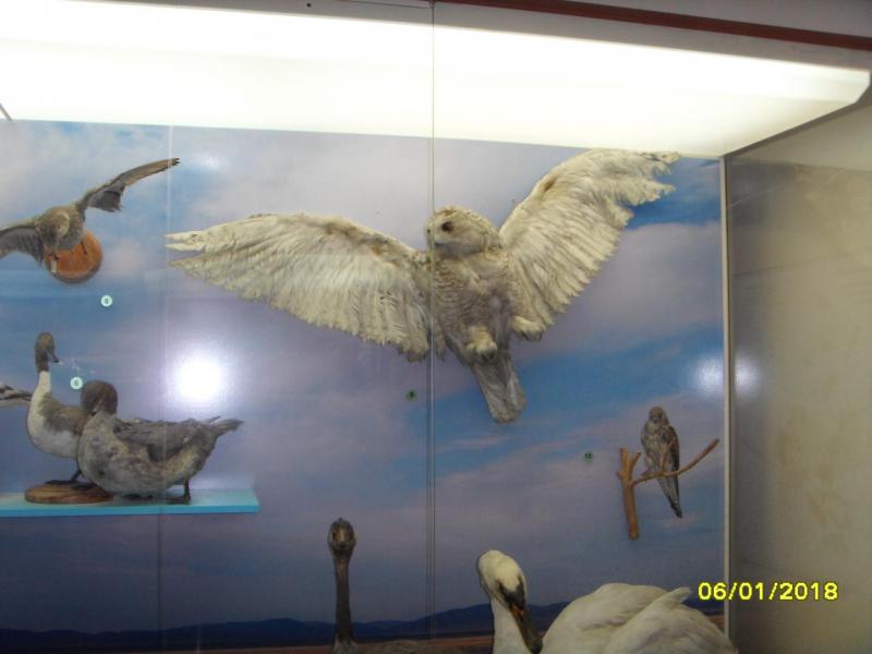 SDC10071.JPG