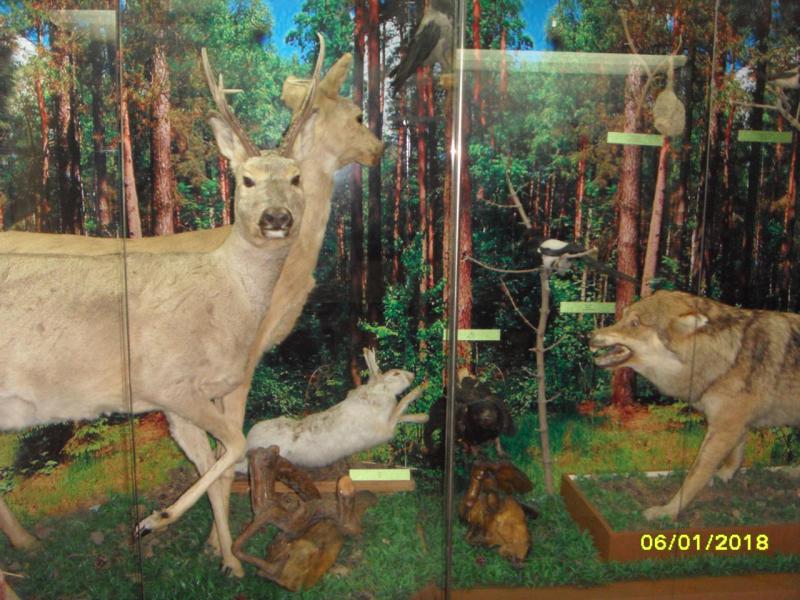 SDC10067.JPG