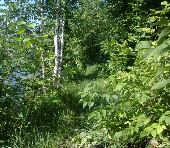 240720177096.jpg