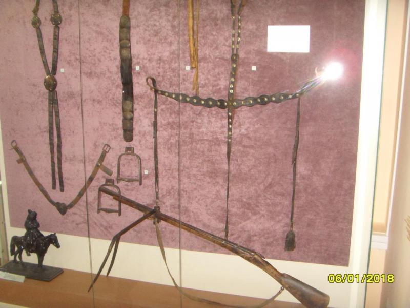 SDC10169.JPG
