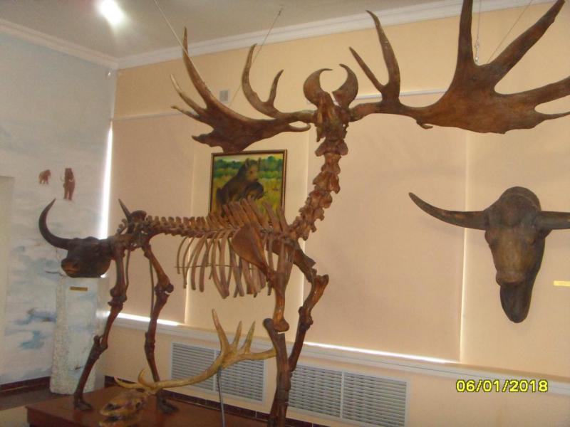 SDC10049.JPG