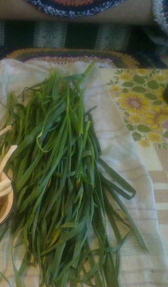 180620176662 - копия.jpg