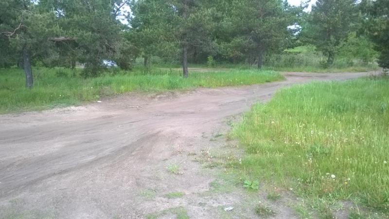 WP_20150523_007.jpg