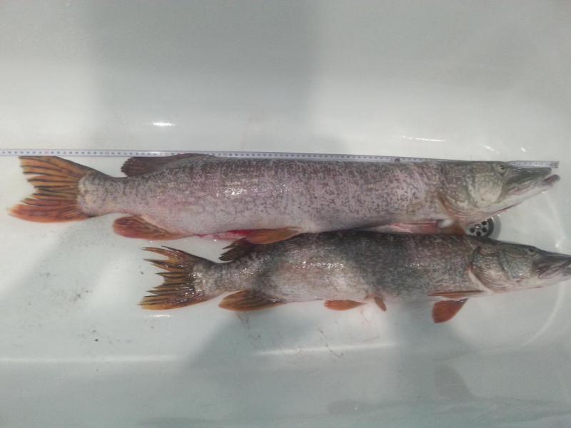 20160717_203313.jpg
