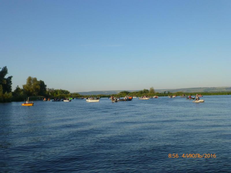 P1030227.JPG