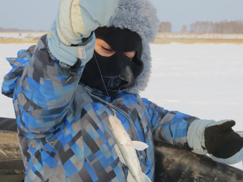 зима 2016 021.jpg