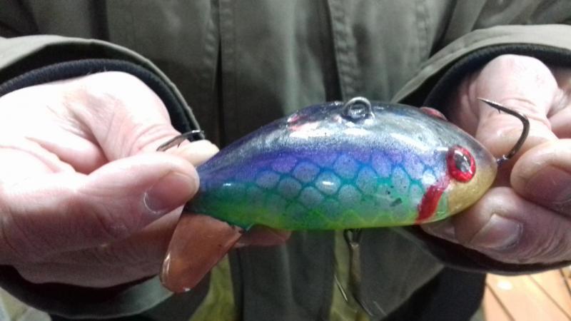20161109_121527.jpg