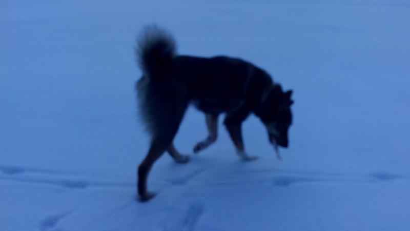 IMG_20160103_131028.jpg