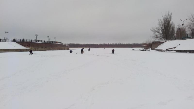 IMG_20160129_135818.jpg