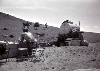368615_320.jpg