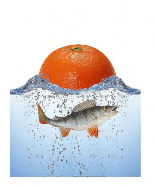 апельсинорыб.jpg