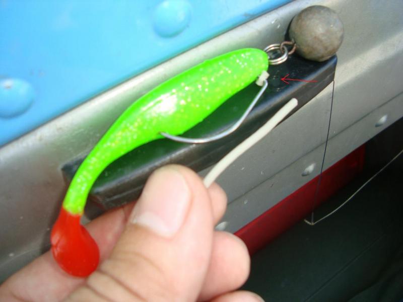 с моделькой.jpg