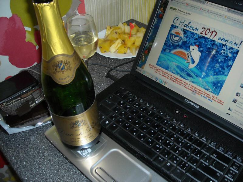 DSCN0406.JPG