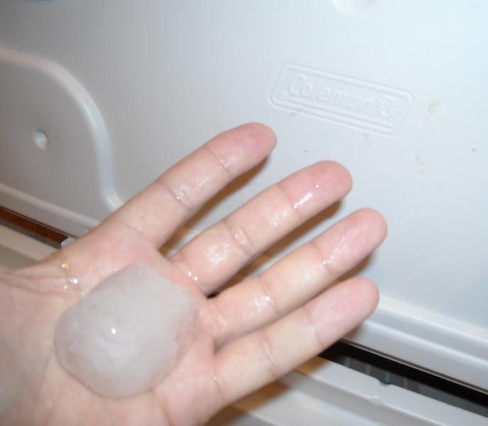 Кол в руке.JPG