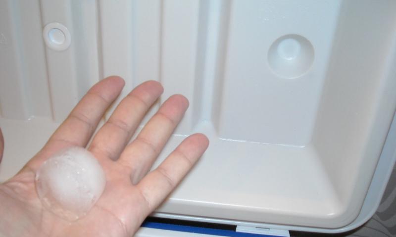 сноу на руке.JPG