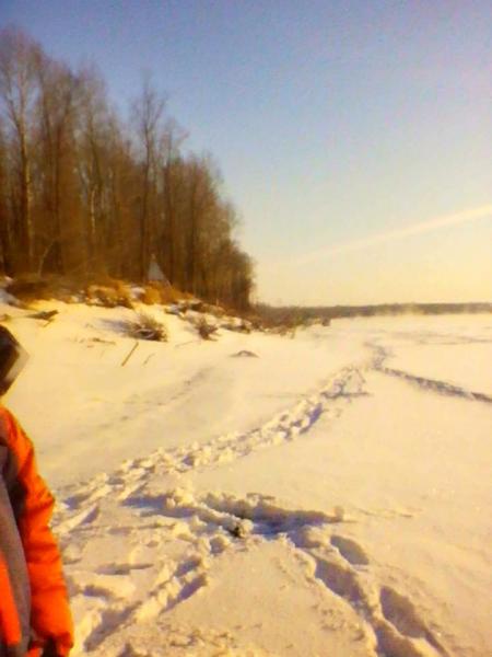 IMG_20161203_124536_1.jpg