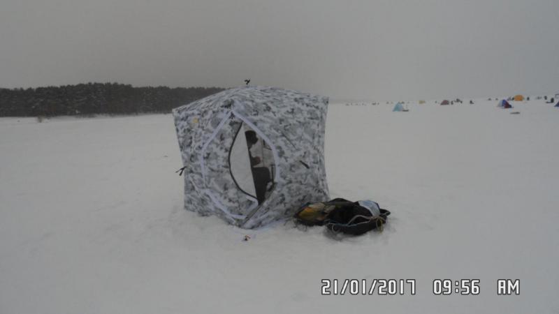 SAM_3970.JPG
