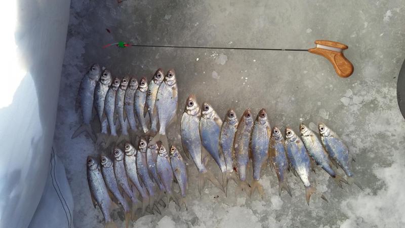 20180102_150939.jpg