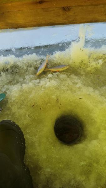 20171214_121843.jpg