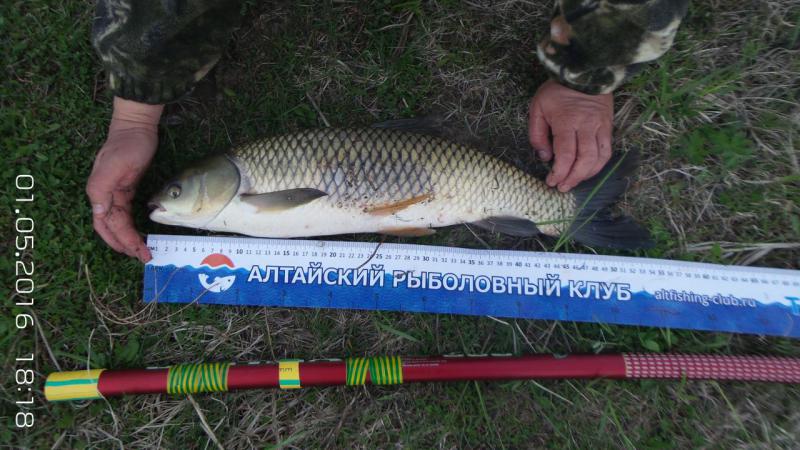 20160501_1818211.jpg