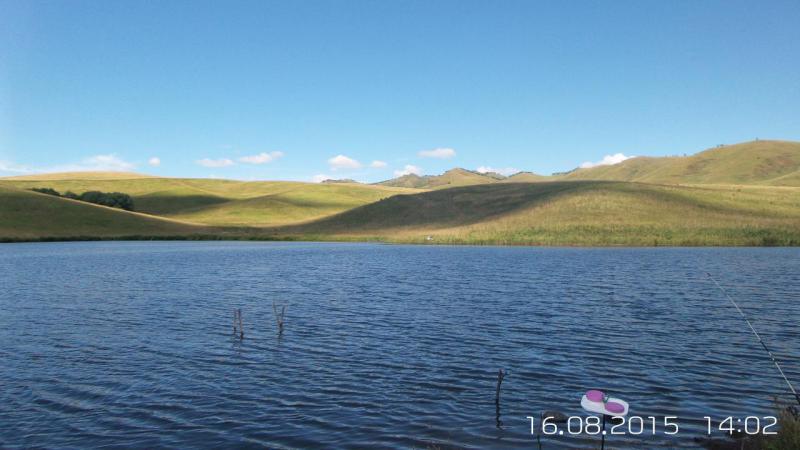 20150816_140225.jpg