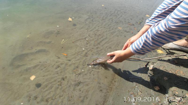 20160911_1235181.jpg