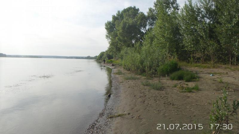20150721_173017.jpg