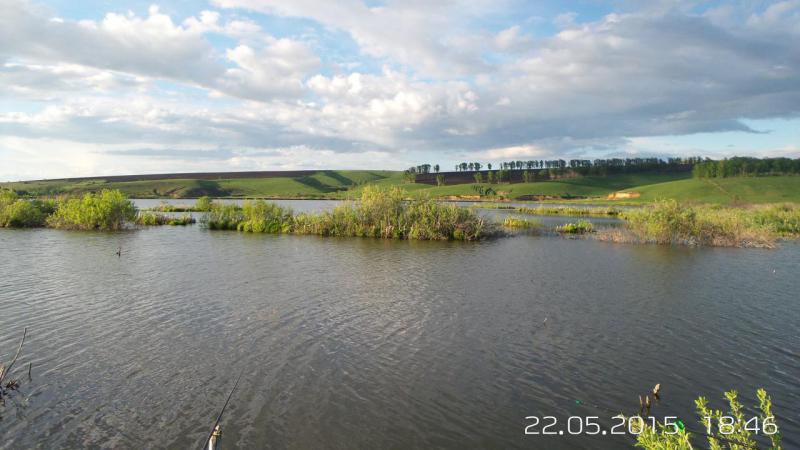 20150522_184624.jpg