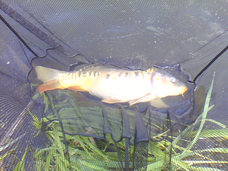 picture_01063.jpg