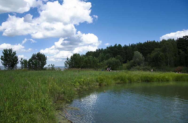 DSC00003ААА.jpg