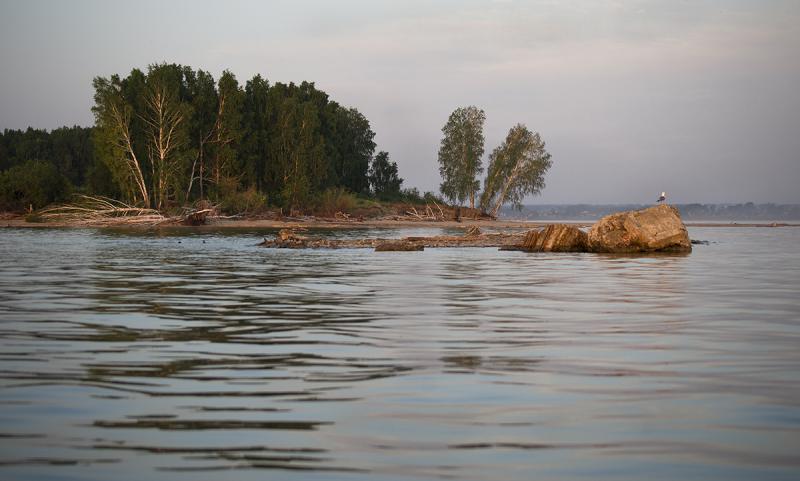 DSC05554ААА.jpg