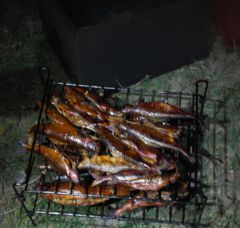 Хариус