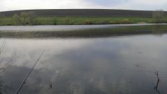 IMAG0162