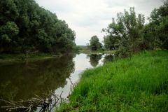 2012.06.11~2
